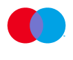 Online Payment Maestro
