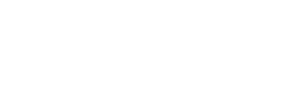 Online Payment Visa